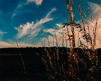 服务器攻击软件