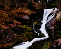 服务器攻击软件