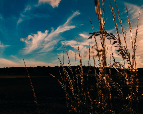 手机版ddos攻击器